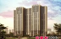 住总万科橙